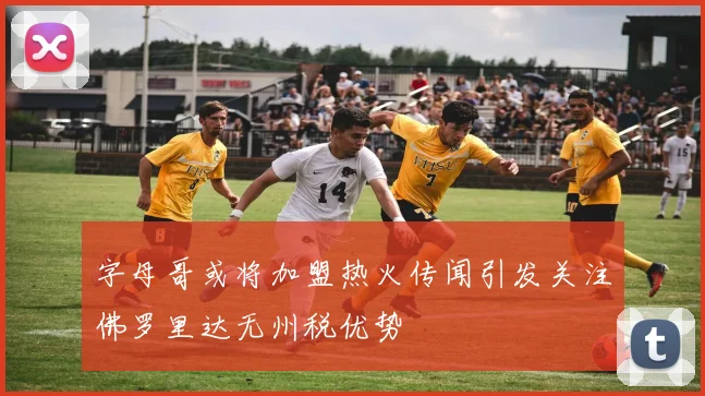 字母哥或将加盟热火传闻引发关注佛罗里达无州税优势